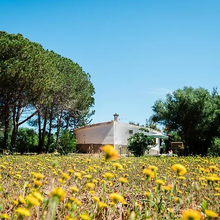 Casa P - Relax Nel A Ezzi Minori * Cuile Ezi Mannu